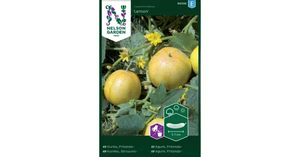 90336 kurk, sitruuna-, lemon