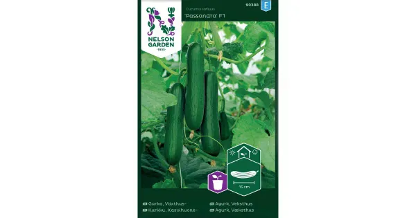 90388 kurk, kasvohoone passandra f1