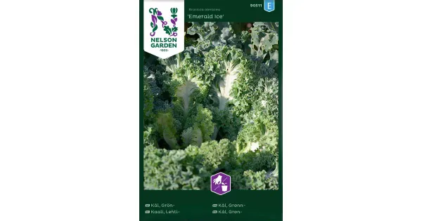 90511 kale emerald ice