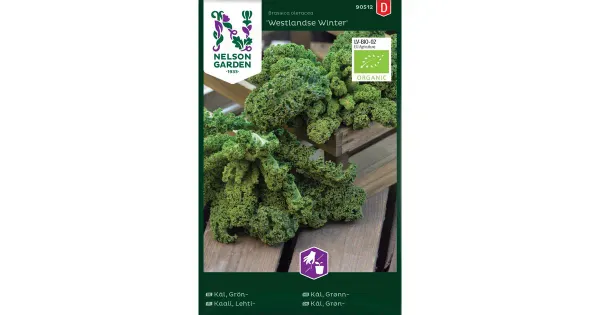 90512 kale westlandse winter,organic