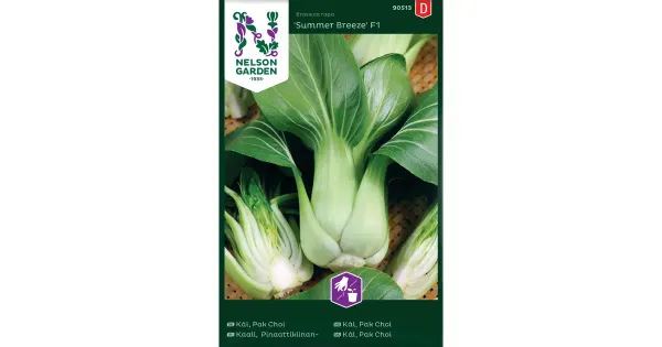 90513pak choi summer breeze f1