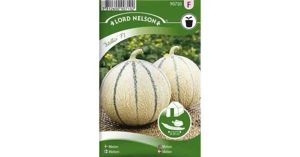 90710 melon stellio f1