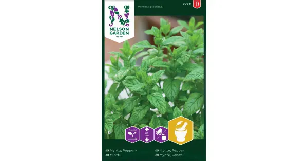 90811 piparmünt