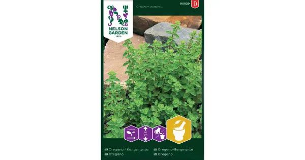 90829 oregano