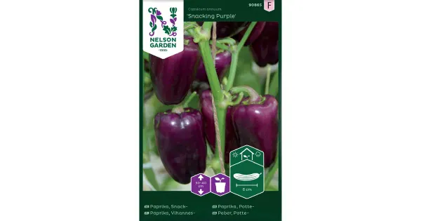 90865 maguspaprika snacking purple