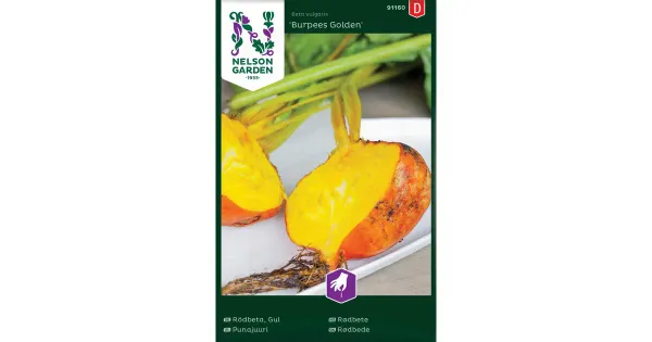 91160 punapeet, burpees golden