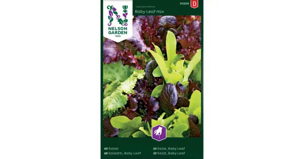 91209 salat baby leaf, segu