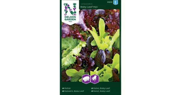 91210 salat baby leaf, seos, külvilint
