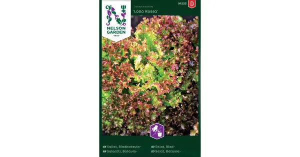 91225 salat lollo rossa