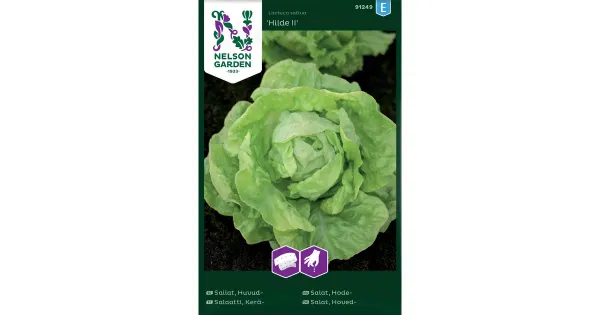 91249 salat hilde ii, külvilint