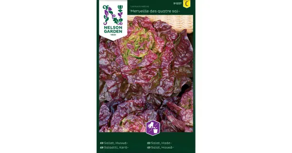91257 salat merveille des quatres