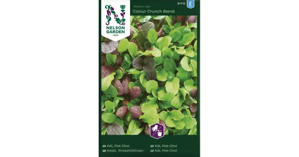 91713 hiina kapsas pak choi