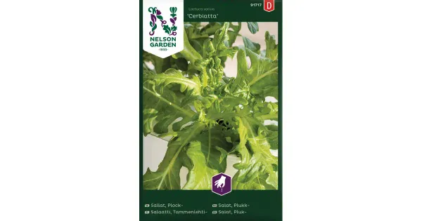 91717 salat cerbiatta