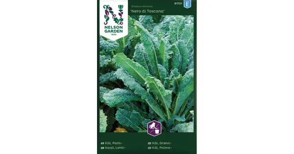 91721 kale nero di toscana