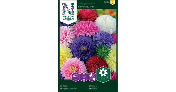 93106 aster semi-tall väriseos