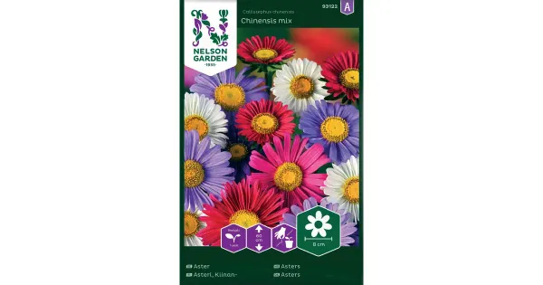 93122 aster chinensis väriseos