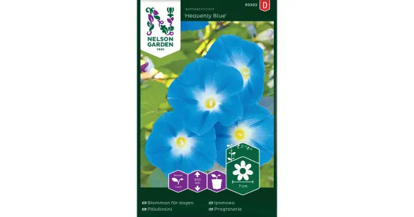 93302 päevakübar heavenly blue