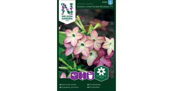 93320 tubakas lime/purple bicolour