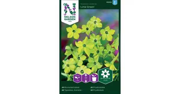 93332 tubakas lime green