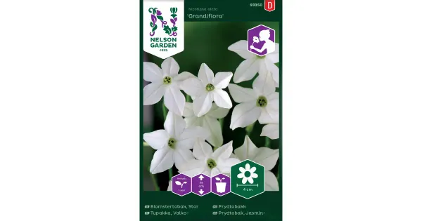 93350 tubakas grandiflora