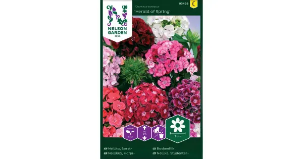 93428 nelk herald of spring, seos