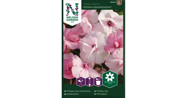 93544 impatiens athena appleblossom f1