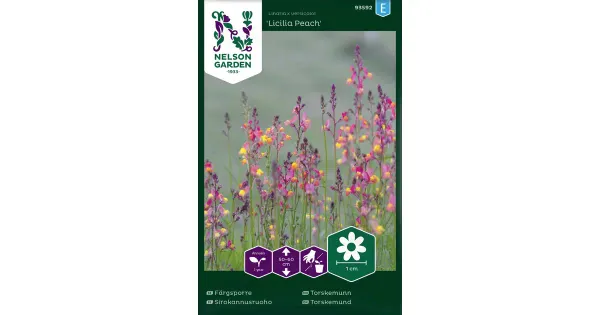 93592 linaria licilia peach