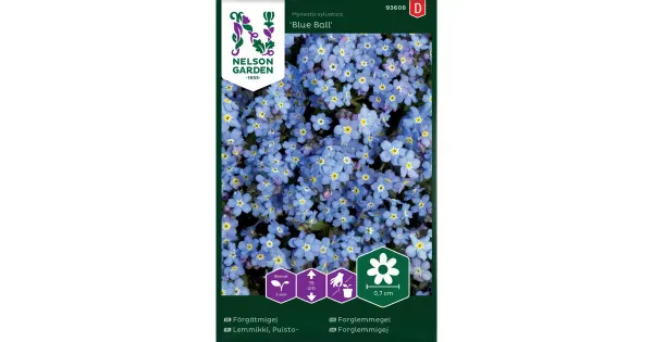 93608 myosotis blue ball