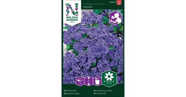93644 heliotropium arborescens marine