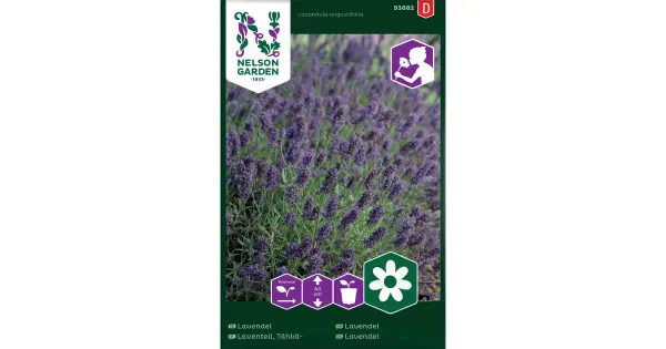 93882 lavendel