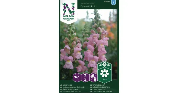 93922 lõvilõug opus pink f1