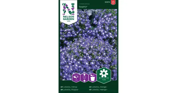 93974 lobelia saphir