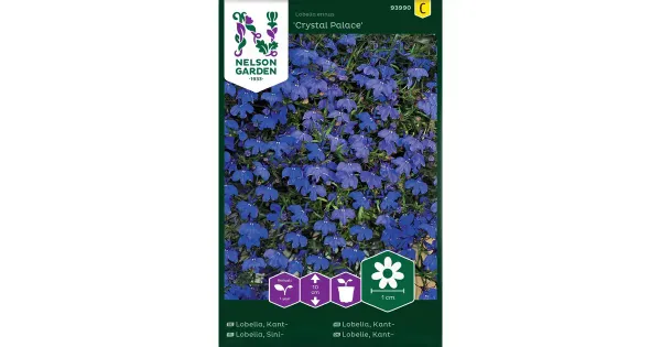 93990 lobelia crystal palace
