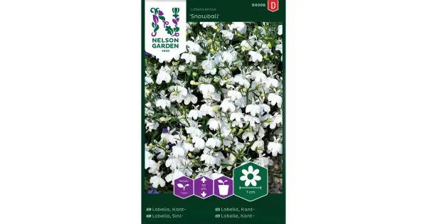 94006 sinilobelia snowball