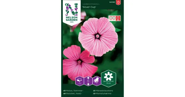 94180 lavatera trimestris, silver cup