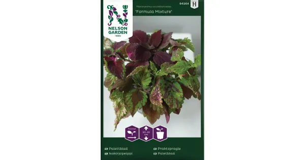 94264 coleus formula mix