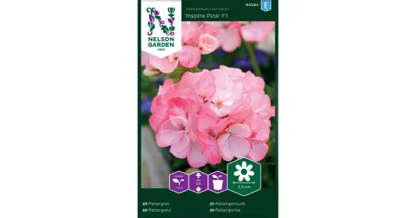 94384 pelargoon inspire pink f1