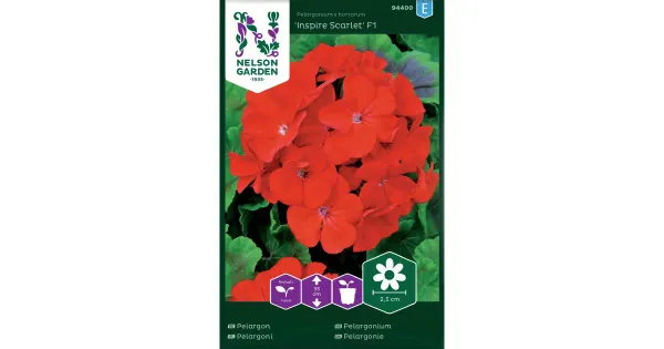 94400 pelargoon inspire scarlet f1