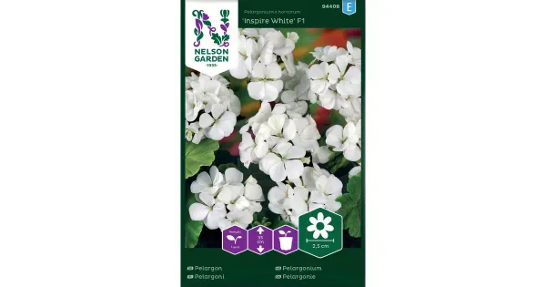 94408 pelargoon inspire white f1
