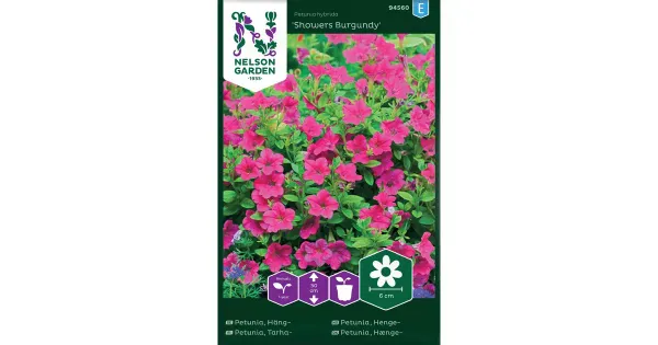 94560 petunia showers burgundy