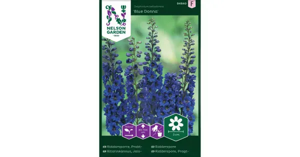 94840 delphinium blue donna