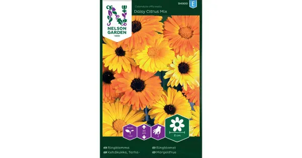 94900 saialill daisy citrus mix