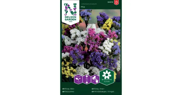 94976 limonium sinuatum