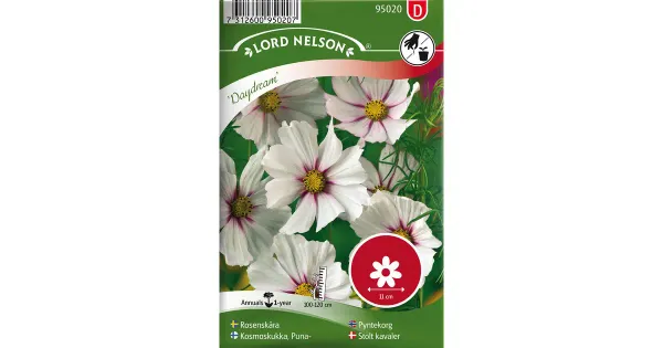 95020 kosmose lill daydream