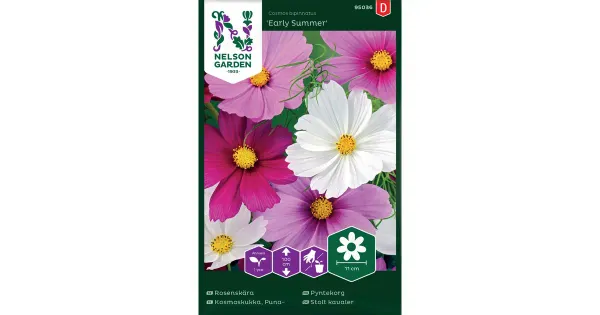 95036 kosmose lillearly summer