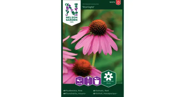 95072 punane müts starlight