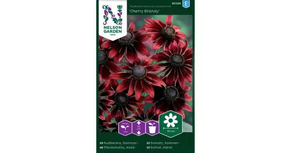 95088 päevakübar cherry brandy