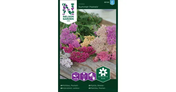 95130 achillea summer pastels