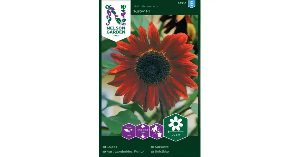 95316 päevalill ruby f1