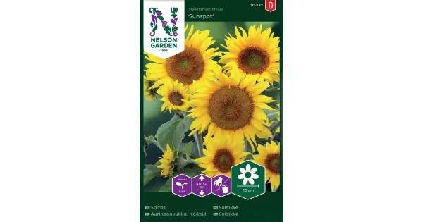 95332 päevalill sunspot